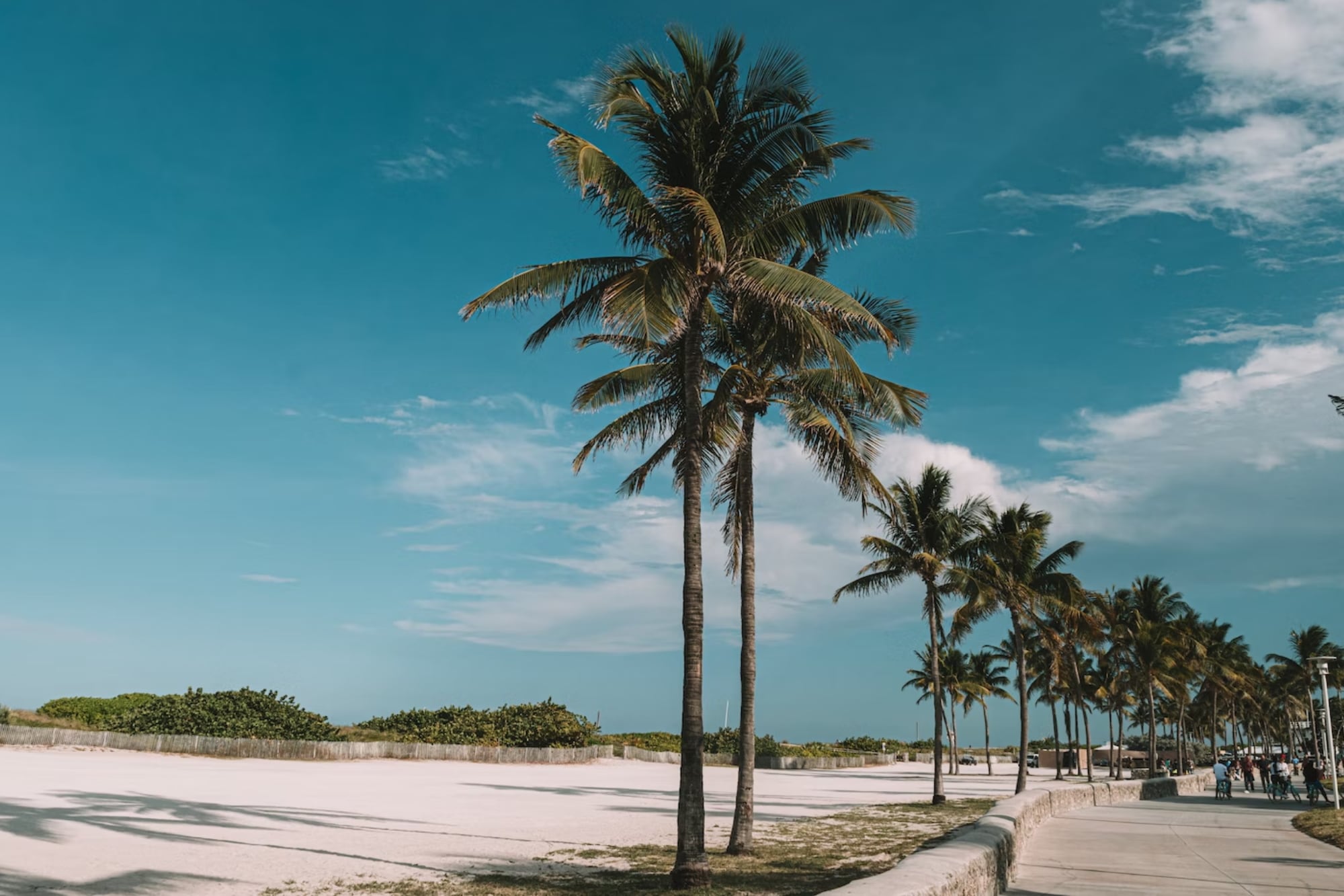 Será una jorneada soleada pero fresca en Florida