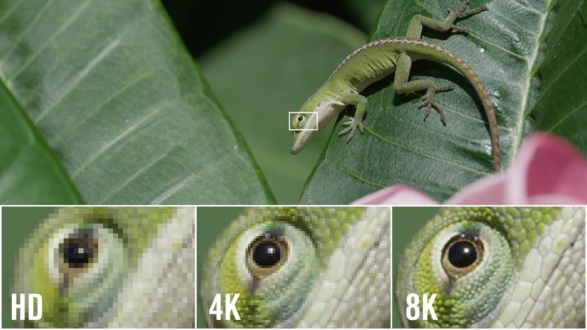 8K es una mejor resolución que el 4K y el Full HD, así que incluirla en el prompt puede ayudar a que la imagen tenga mejor calidad