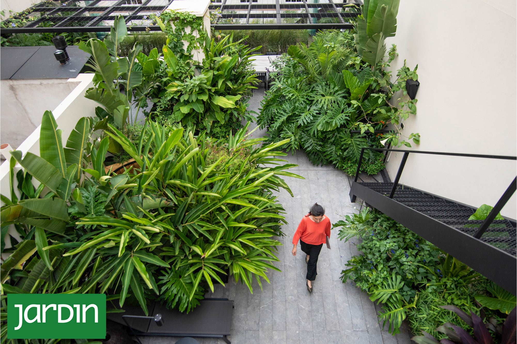 Cómo transformar jardines con decisiones simples pero potentes