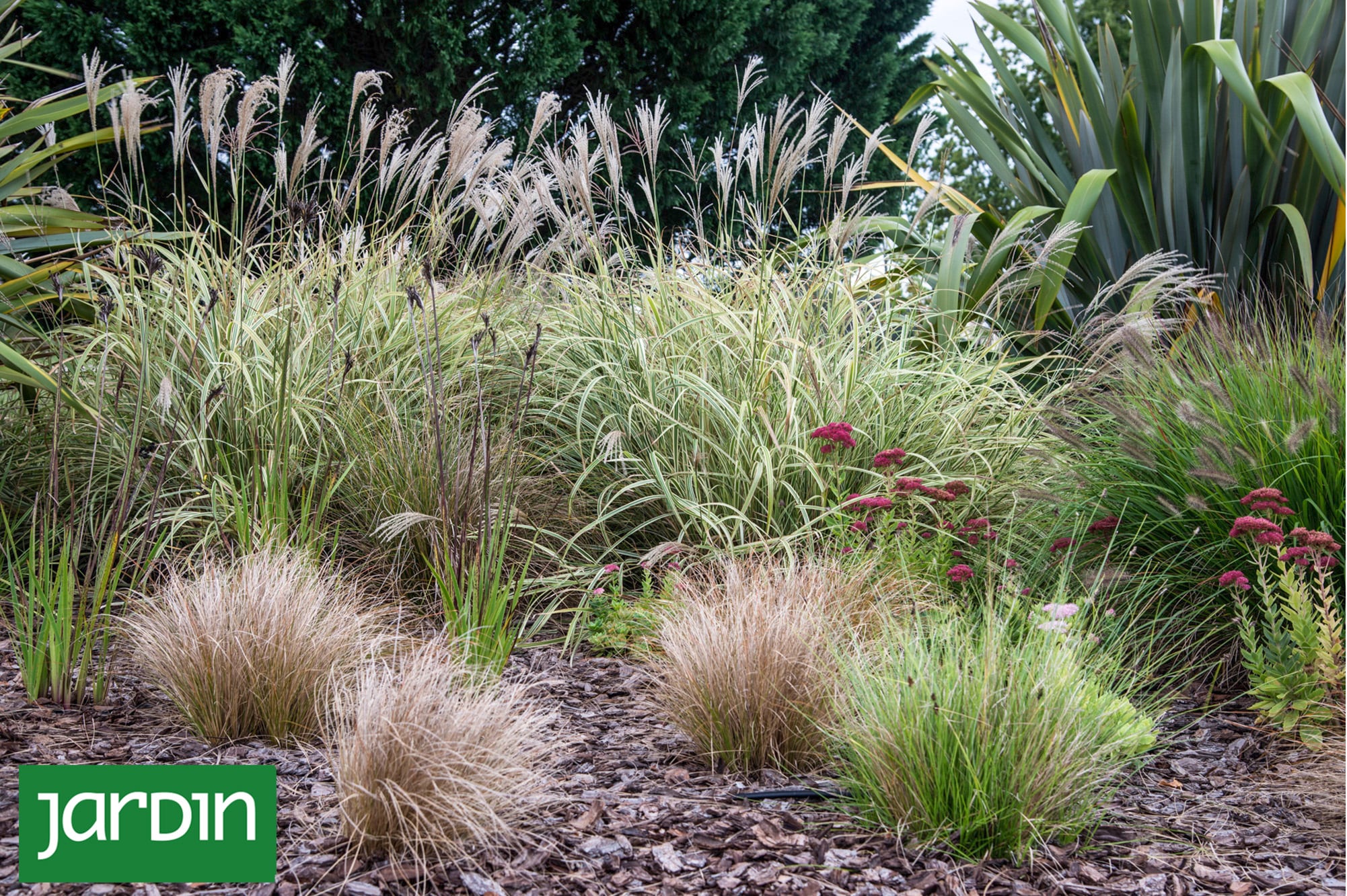 Qué plantas elegir para crear canteros luminosos