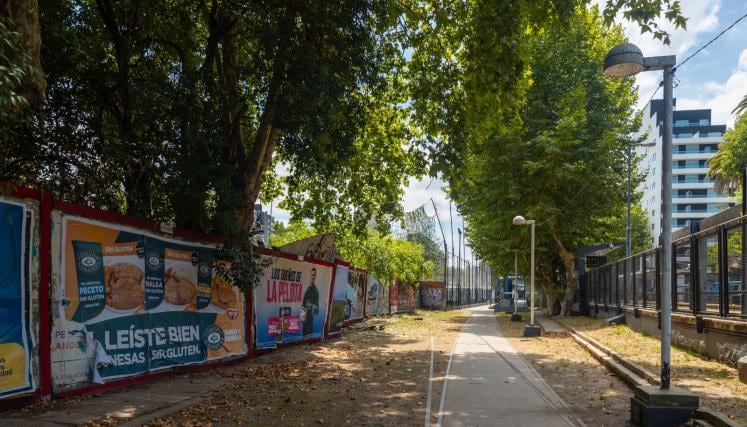 Se van a plantar nuevos árboles además de mantener los que ya están (Foto: GCBA)