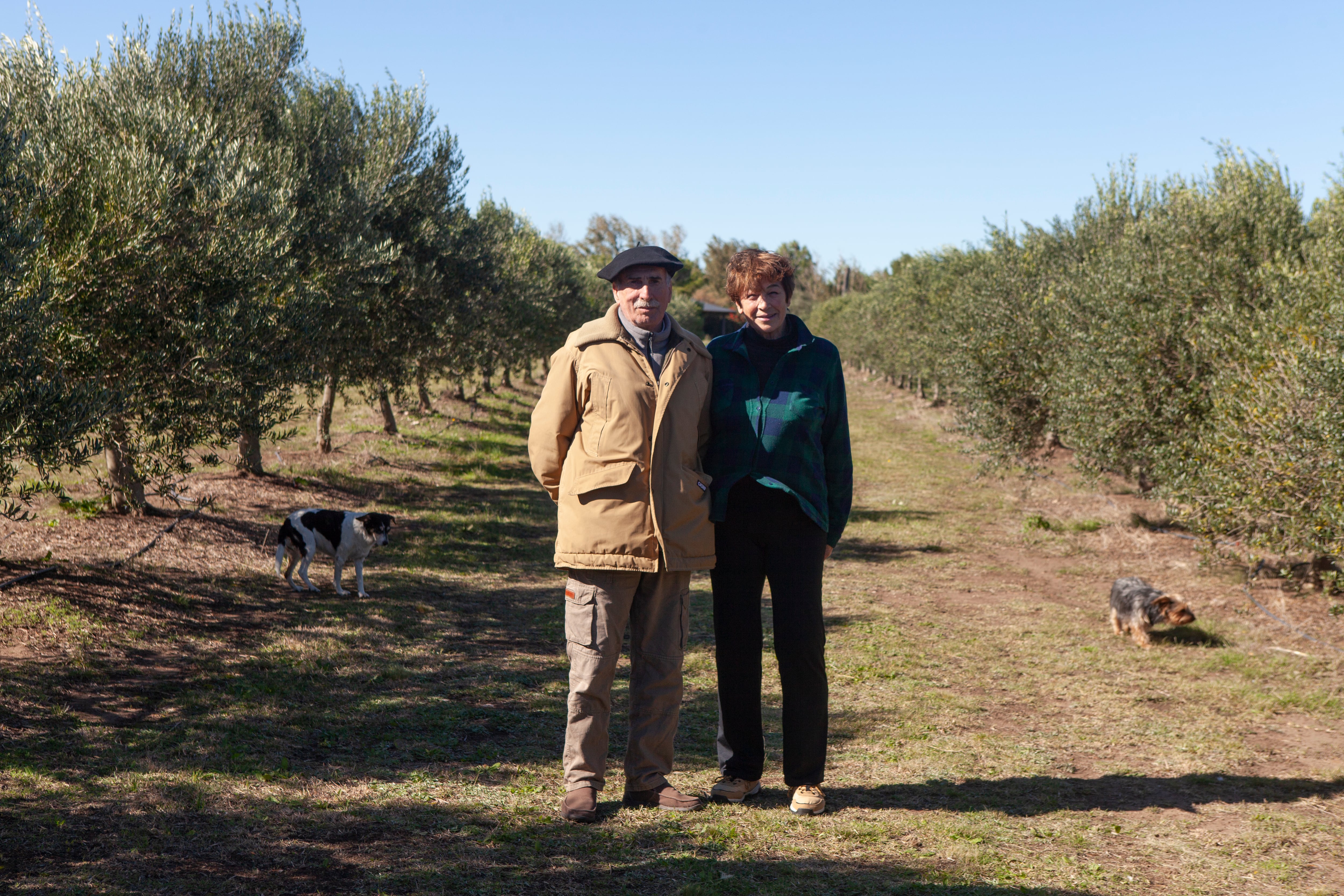 Emilse Galduroz y Osvaldo Fernández son los artífices de Olivares La Loma.