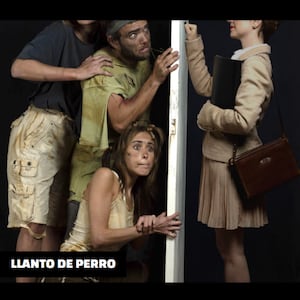 Llanto de perro