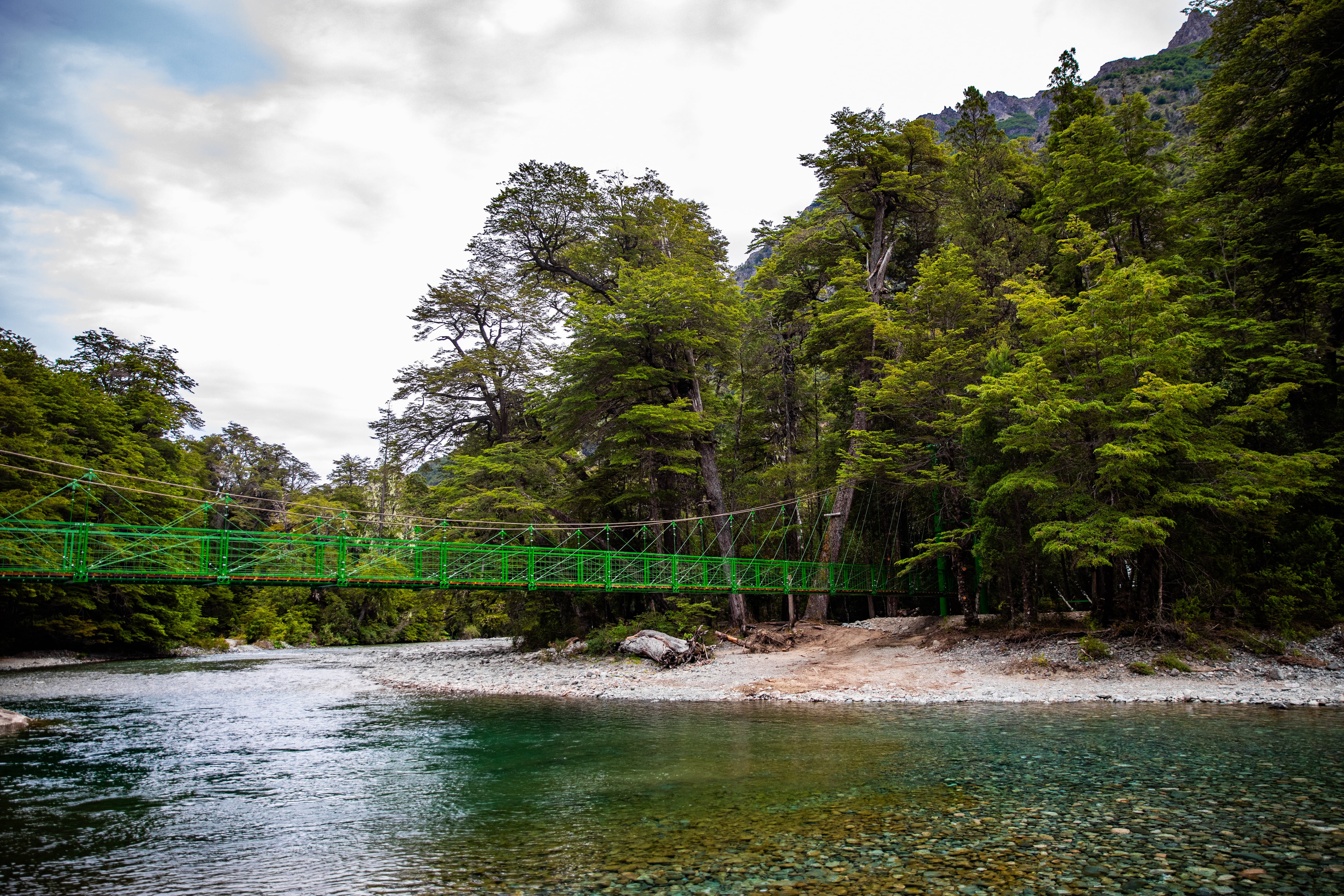 “Restauración ecológica”: prueba piloto para intentar recuperar bosques patagónicos devorados por el fuego 8 Nuevas pasarelas sobre el río Azul permiten acceder al área natural protegida