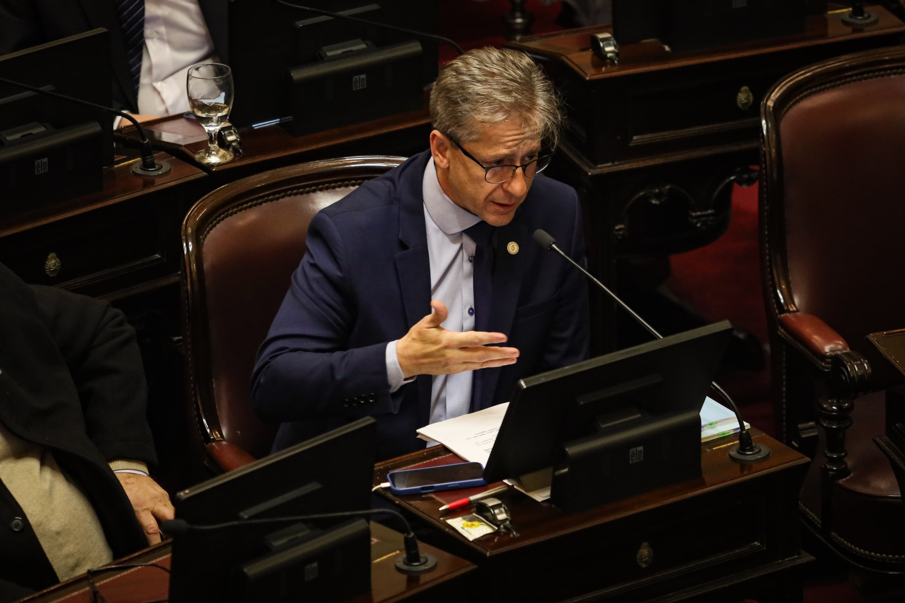 Eduardo Vischi, senador por Corrientes, en la sesión del jueves pasado