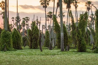 Cómo es el Bañado la Estrella, la nueva maravilla natural que pocos conocen
