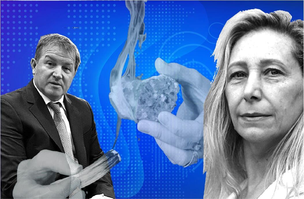 Eduardo Serenellini Karina Milei