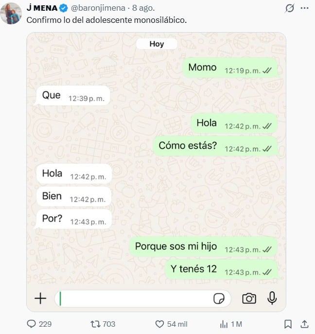 El chat entre Jimena Barón y Momo