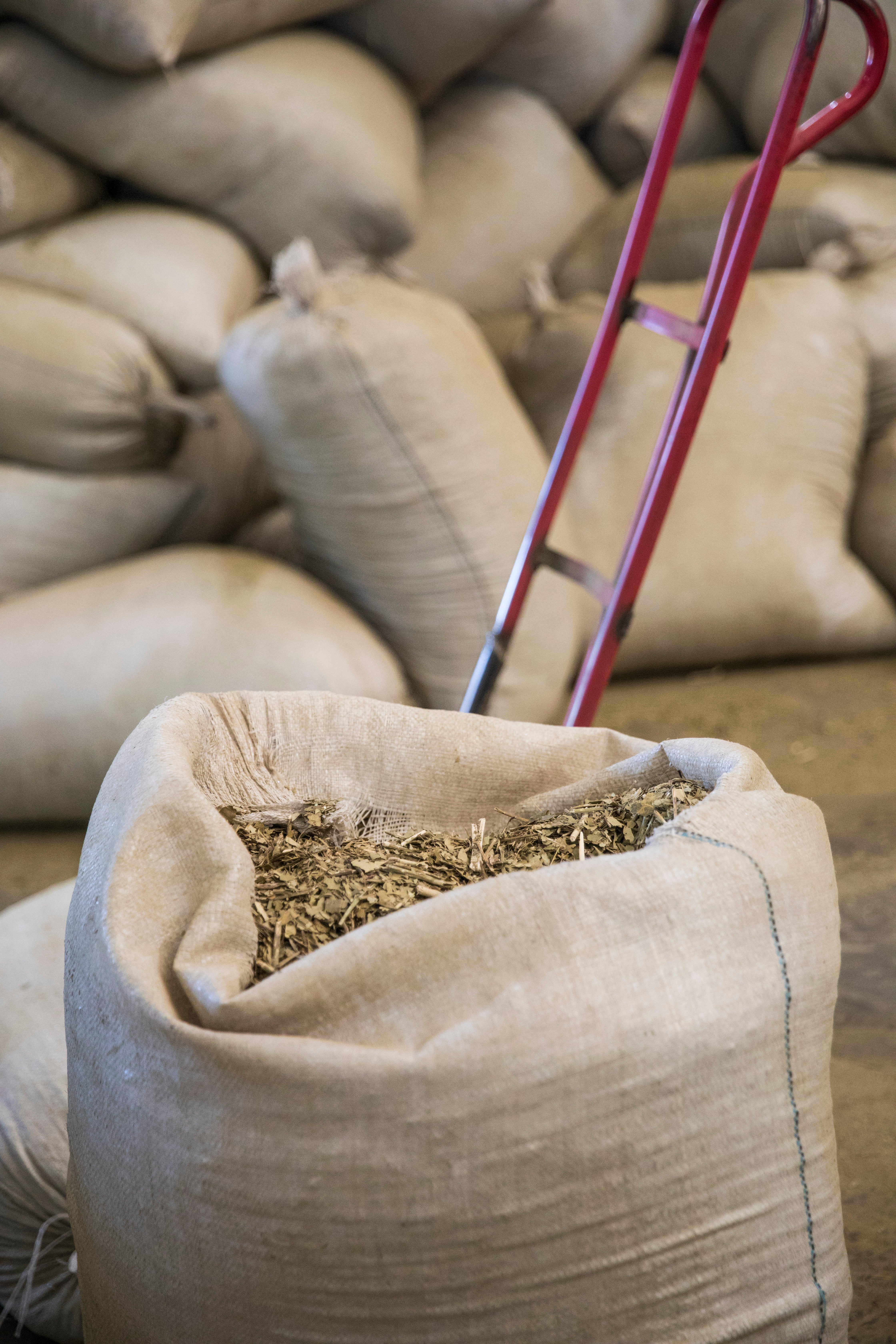 La yerba mate se conserva en bolsas especiales.