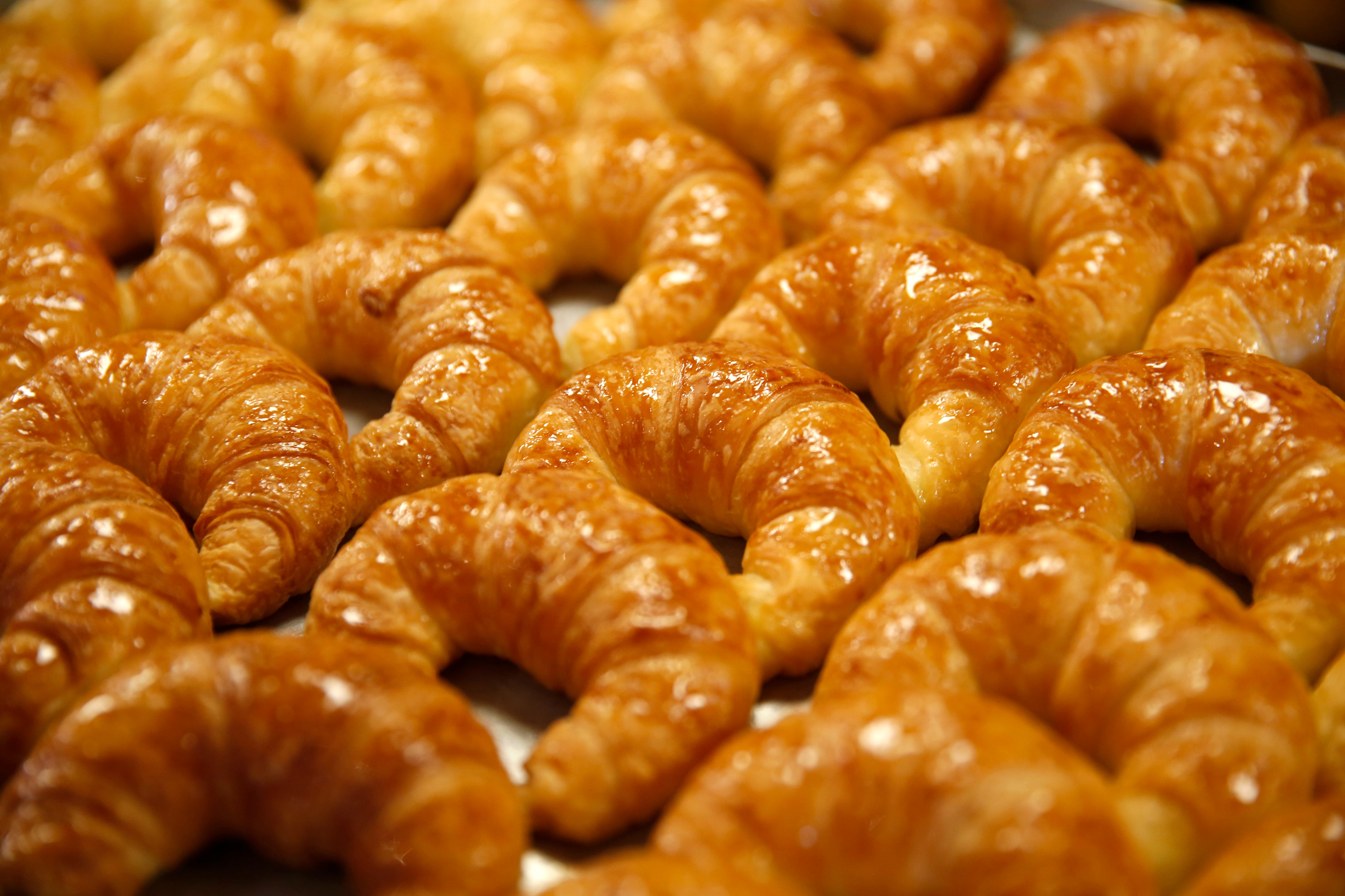 Fiesta de la Medialuna 2026: cuándo y dónde es