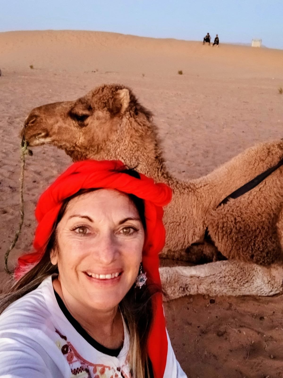 Una visita entre narraciones y turismo