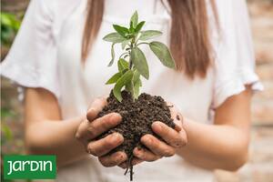 El cambio de temporada pide un shock de calidad para nuestro suelo