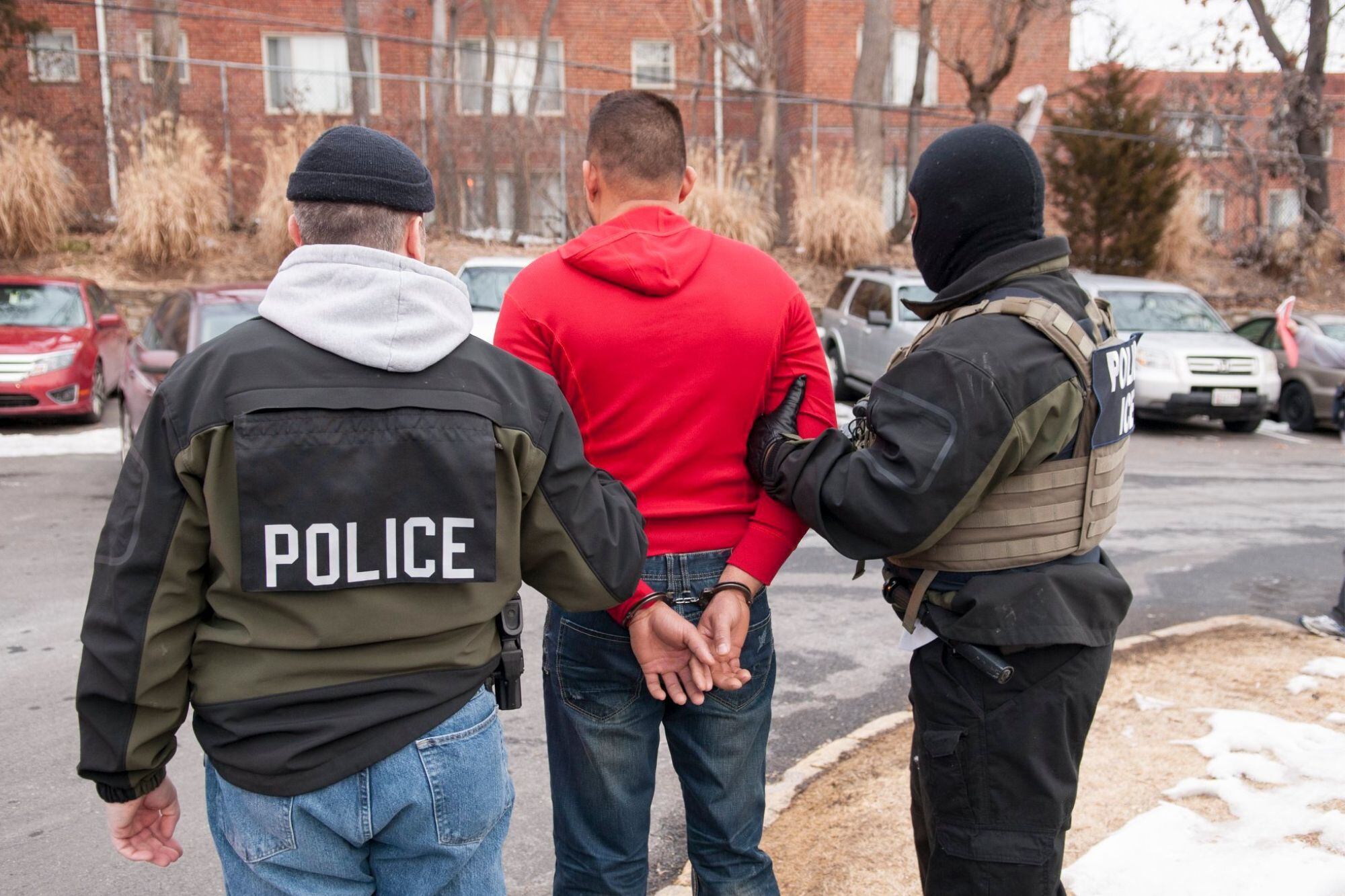 Texas, Florida, Alabama y Virginia concentran la mayor cantidad de solicitudes activas para integrarse al esquema de cooperación con ICE