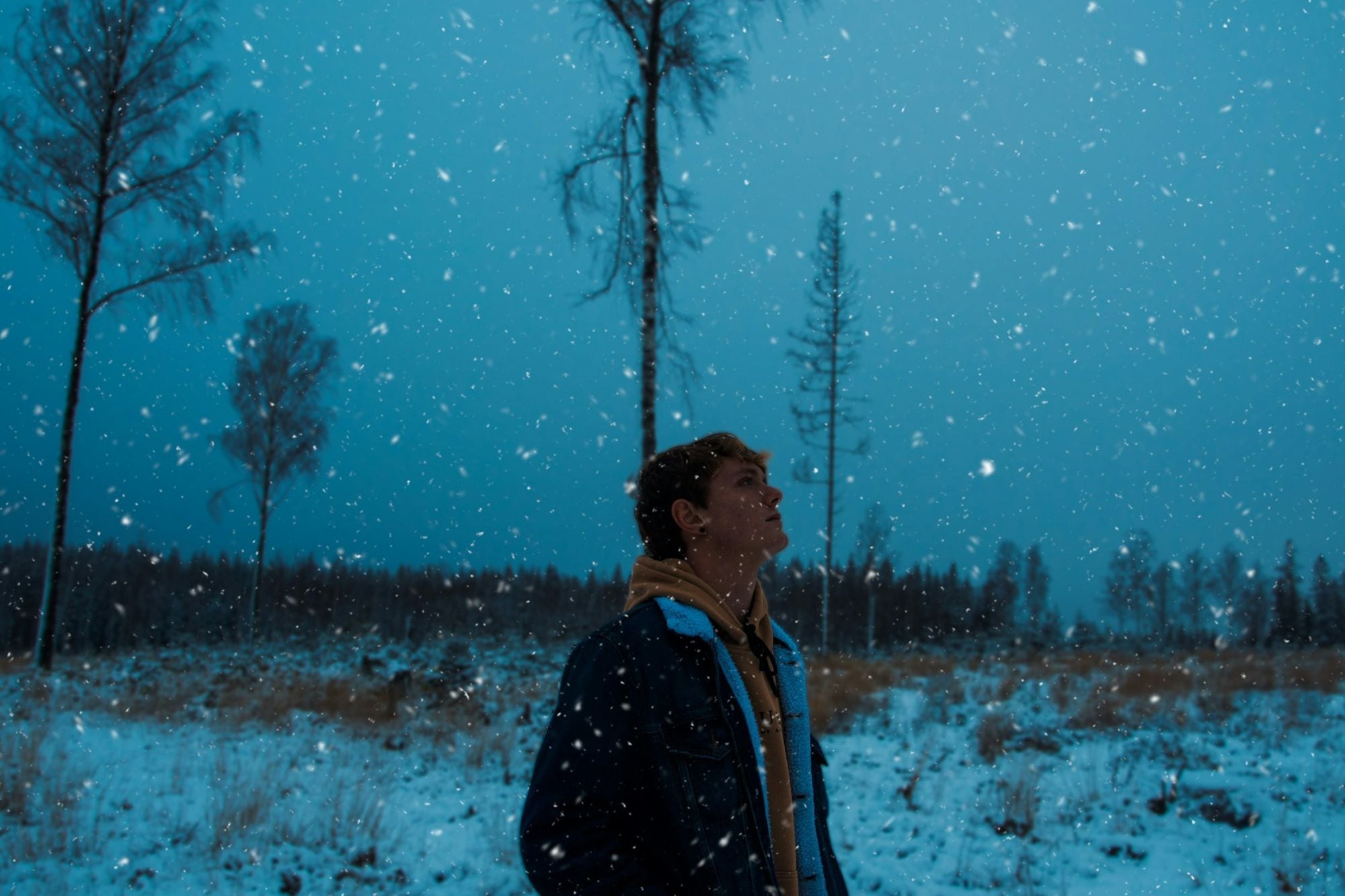 Cuáles son las vitaminas que el cuerpo necesita para evitar la “tristeza invernal”