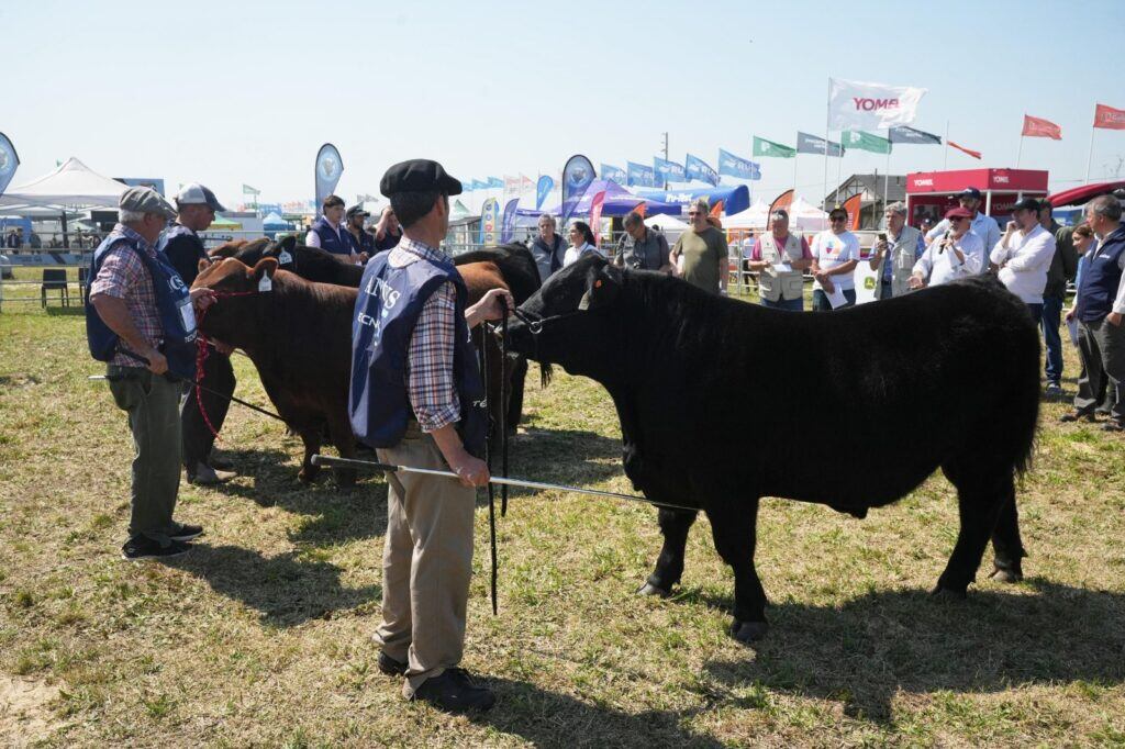 Se realizarán, capacitaciones técnicas para criadores y asesores