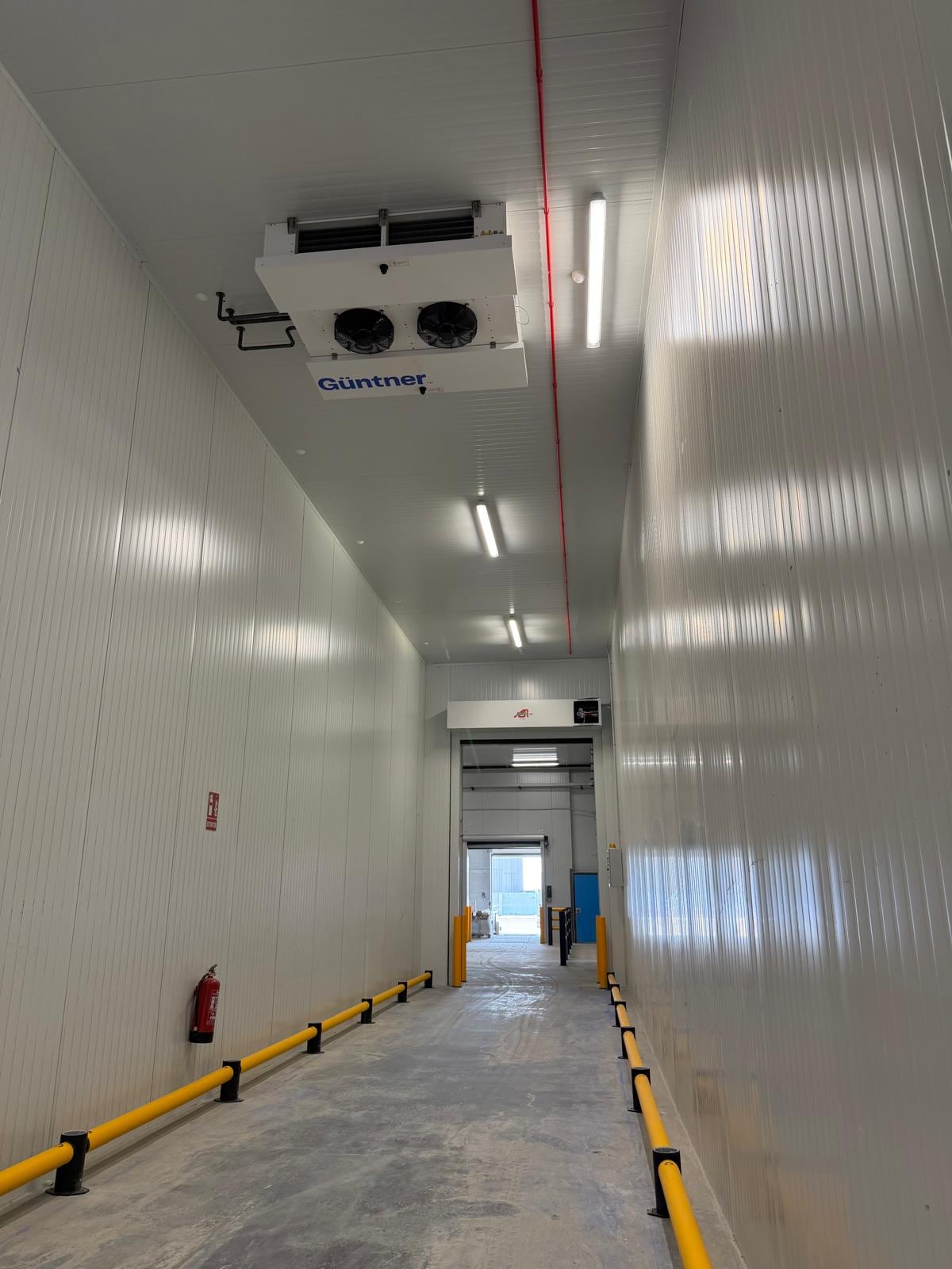 Apuntan a ser la puerta de entrada de la carga refrigerada de Sudamérica y África a Europa
