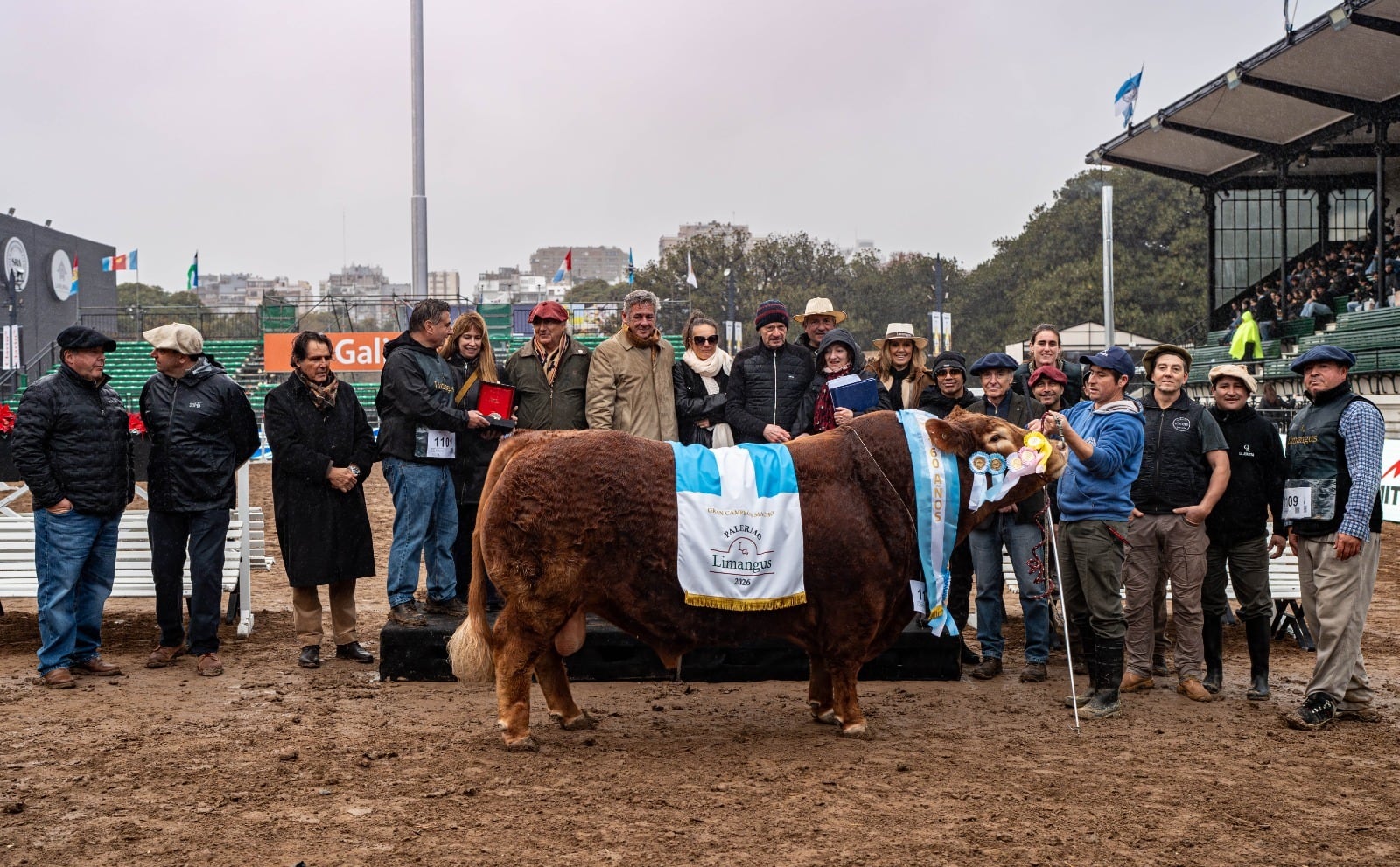 Hizo historia en Palermo: Limangus logró el “1-2” en la prueba que mide la mejor calidad de carne