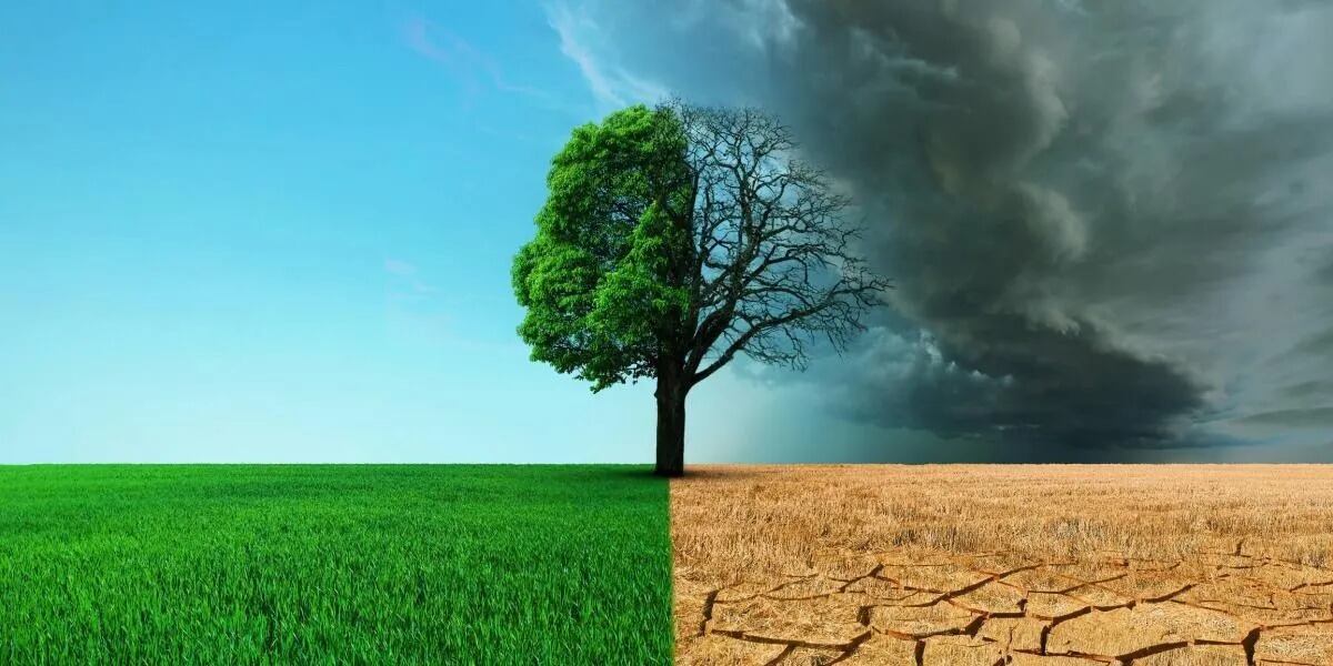 La NASA reveló que hay lugares del mundo en los que no se podrá vivir en 50 años