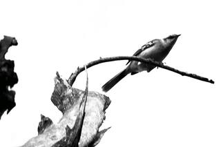 Vivir afuera. Renunciaron a trabajos en la ciudad y se reinventaron en un pueblo