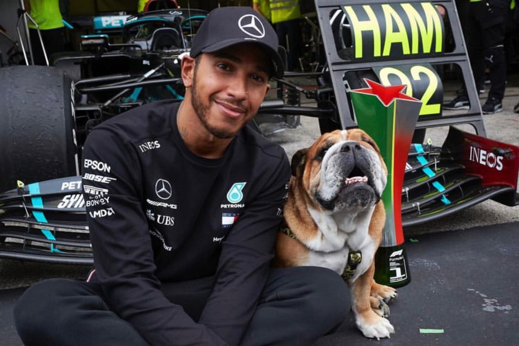 Hamilton, en tiempos de Mercedes, le demostraba su amor a su mascota Roscoe llevándolo a las carreras.