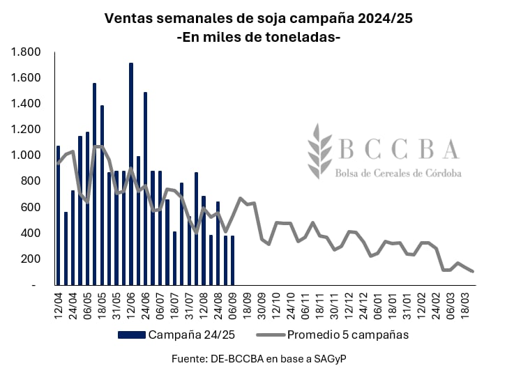 Ventas semanales de soja campaña 2024/25
