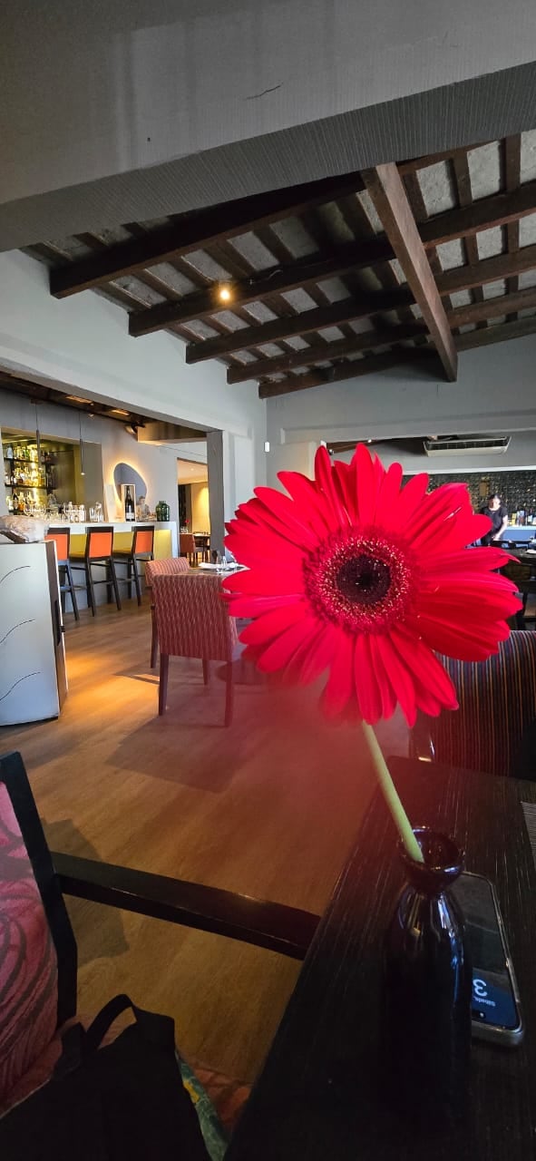 Chizza, el restaurante de Malacisa en Los Cardales