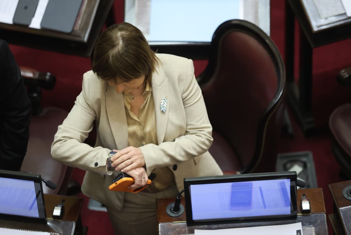 El jueves se levantó la sesión en el Senado