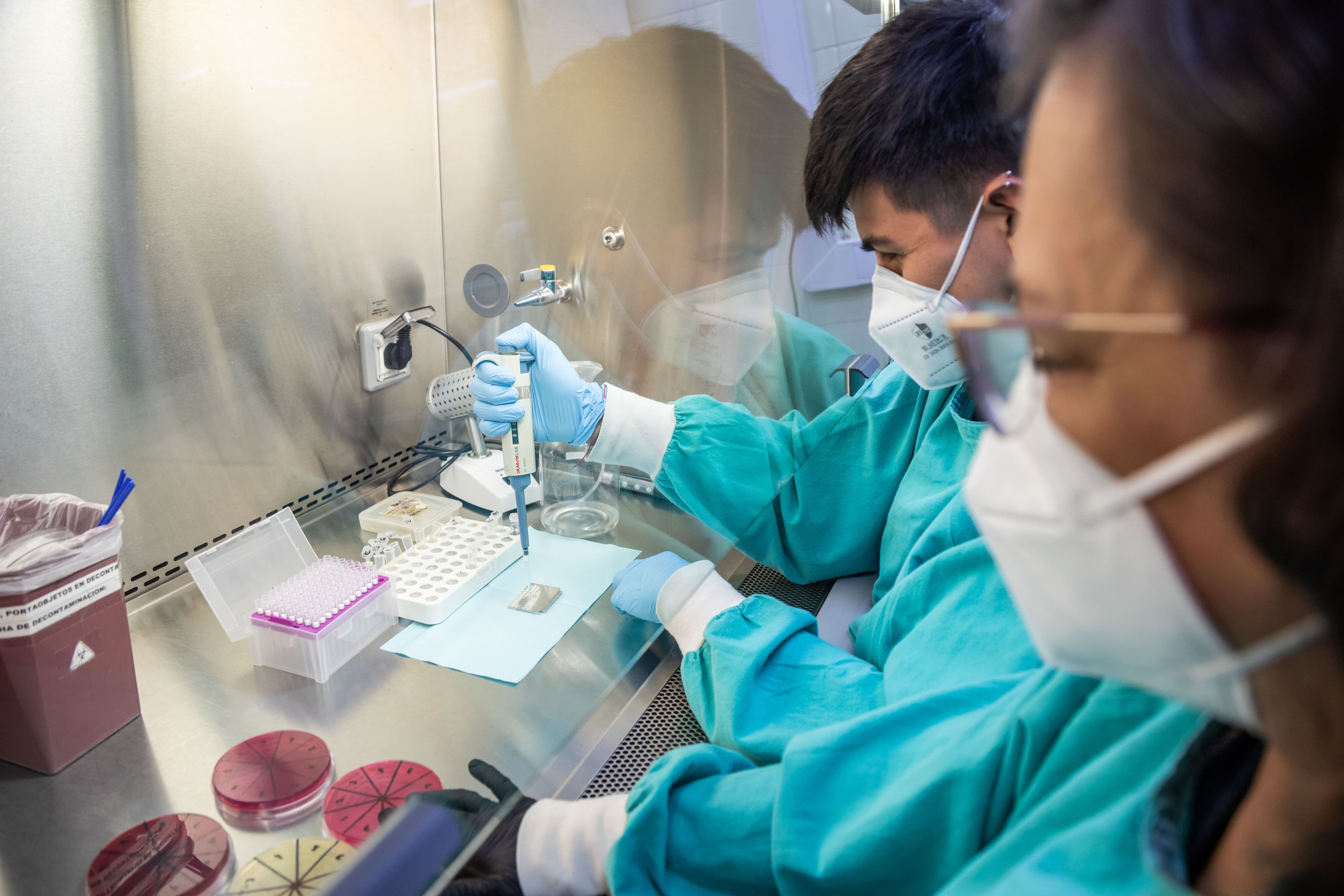 Técnicos e investigadores procesan muestras en uno de los laboratorios de la Anlis Malbrán, referencia nacional en diagnóstico y vigilancia de enfermedades infecciosas