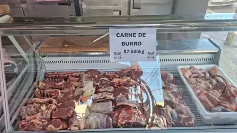 “Operación internacional”: el Gobierno fustigó a un medio alemán que habló del consumo de carne de burro