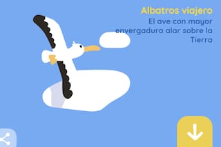 Día de la Tierra: un recorrido para descubrir los organismos que la habitan