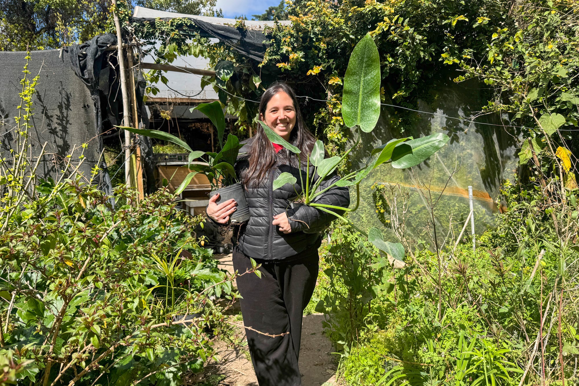Por estos días, el Vivero recibe visitas que se llevan los últimos ejemplares de plantas; todos quieren tener su