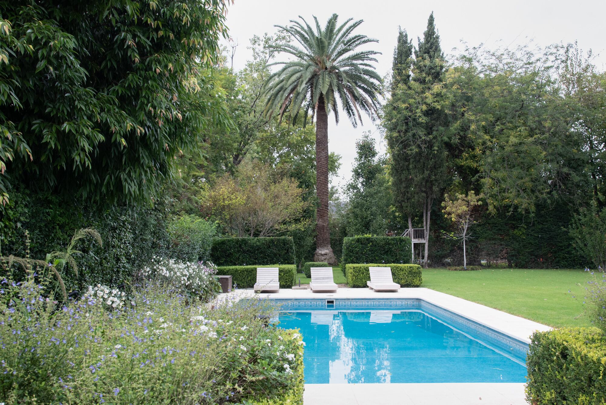 El borde de la pileta, sombrío, con especies que aseguran floración.