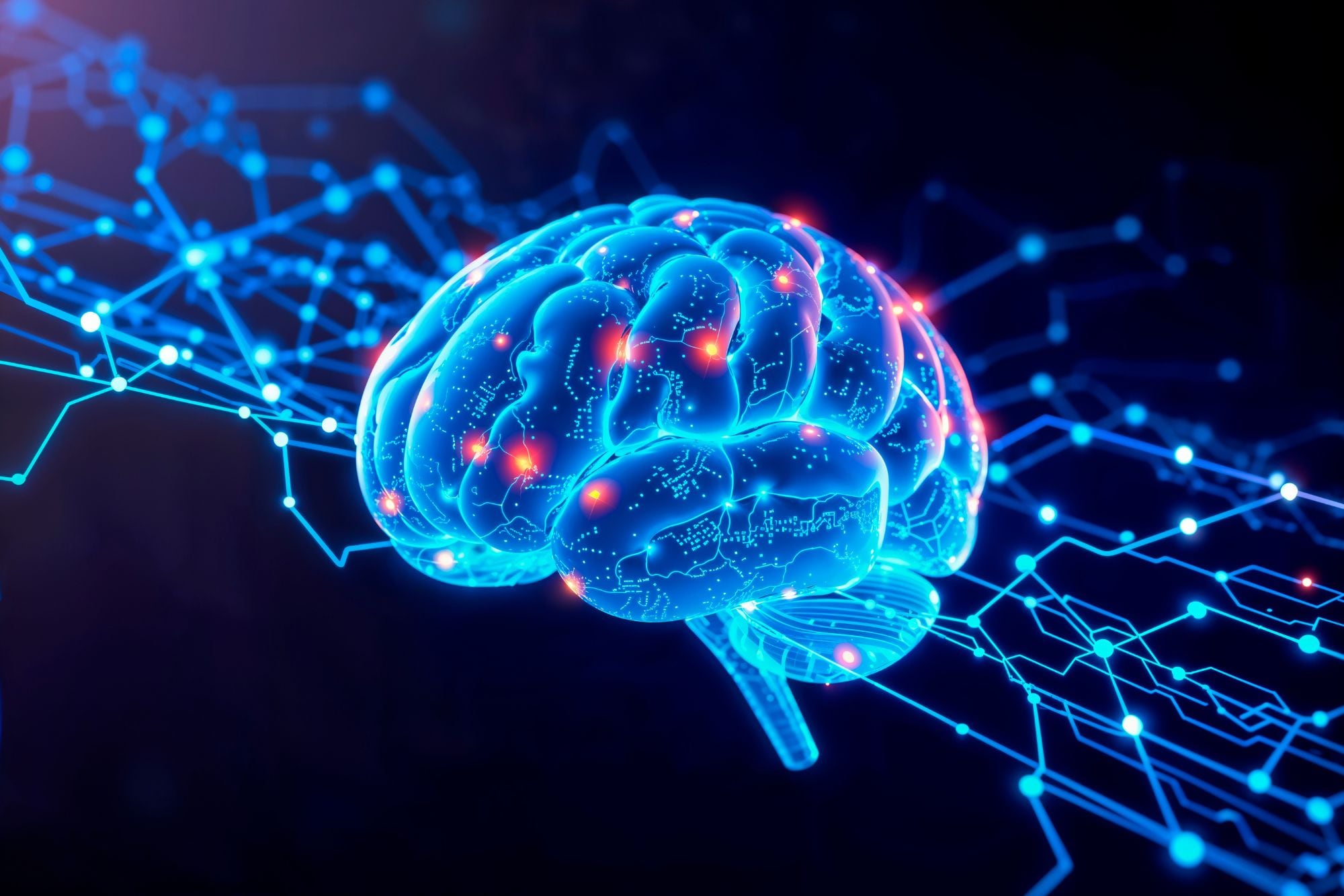 El equilibrio excitación-inhibición cerebral, la clave detrás de las personas más inteligentes