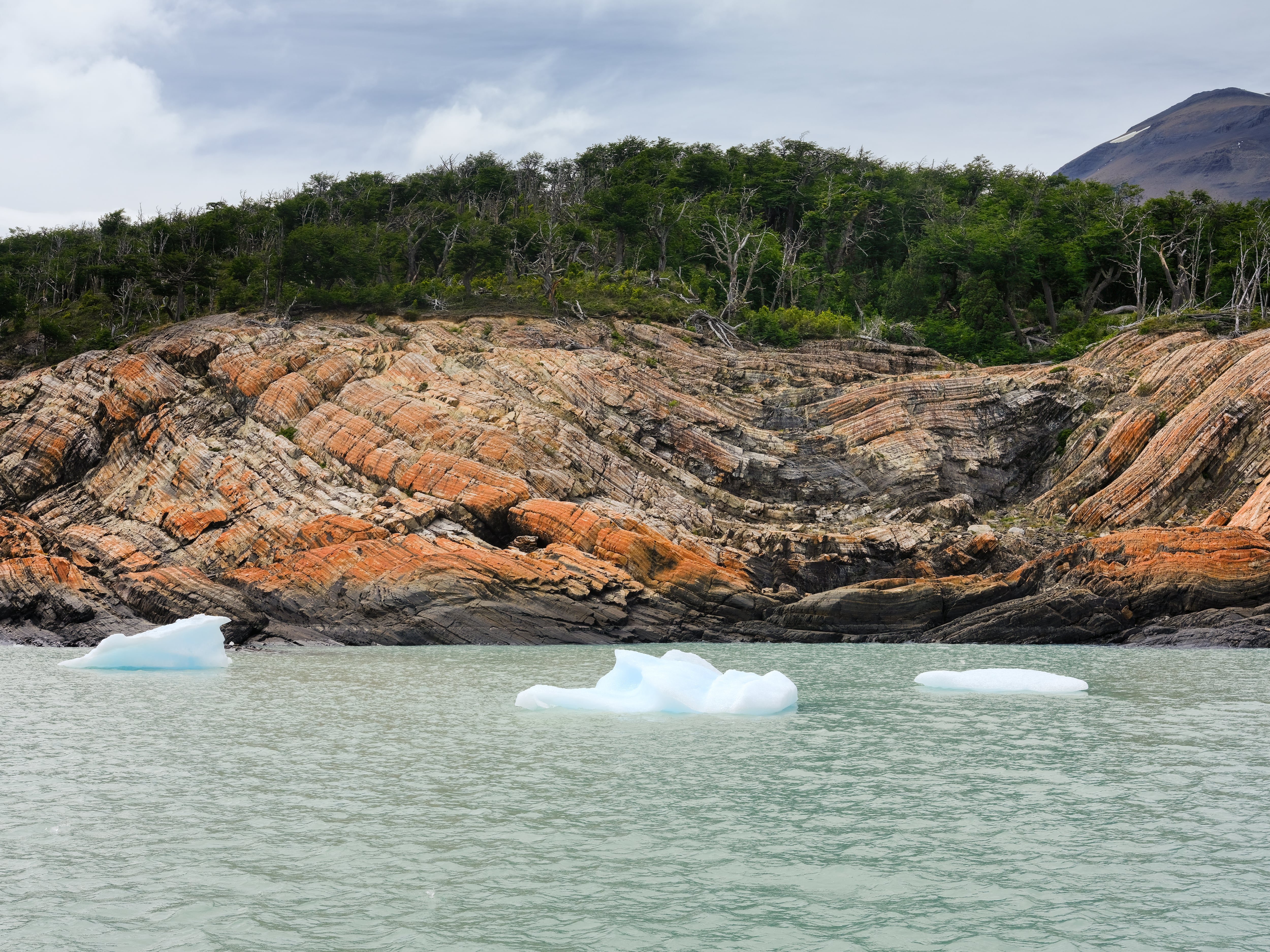 Témpanos del Perito Moreno