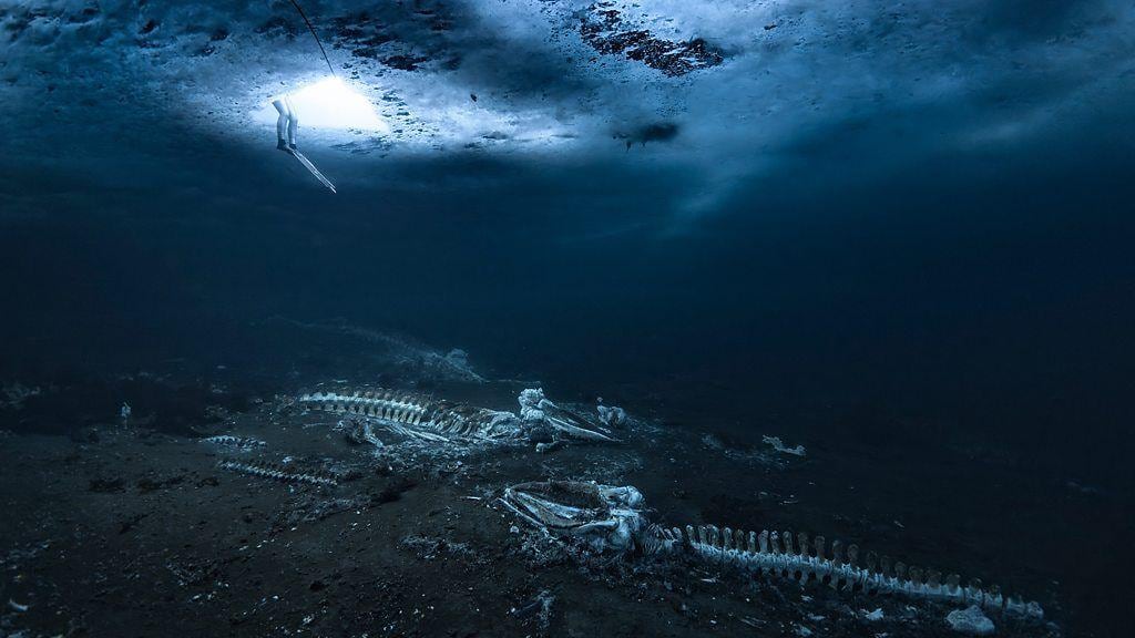 El acceso de los buzos al océano era un pequeño agujero triangular excavado en el hielo (Foto: Alex Dawson)