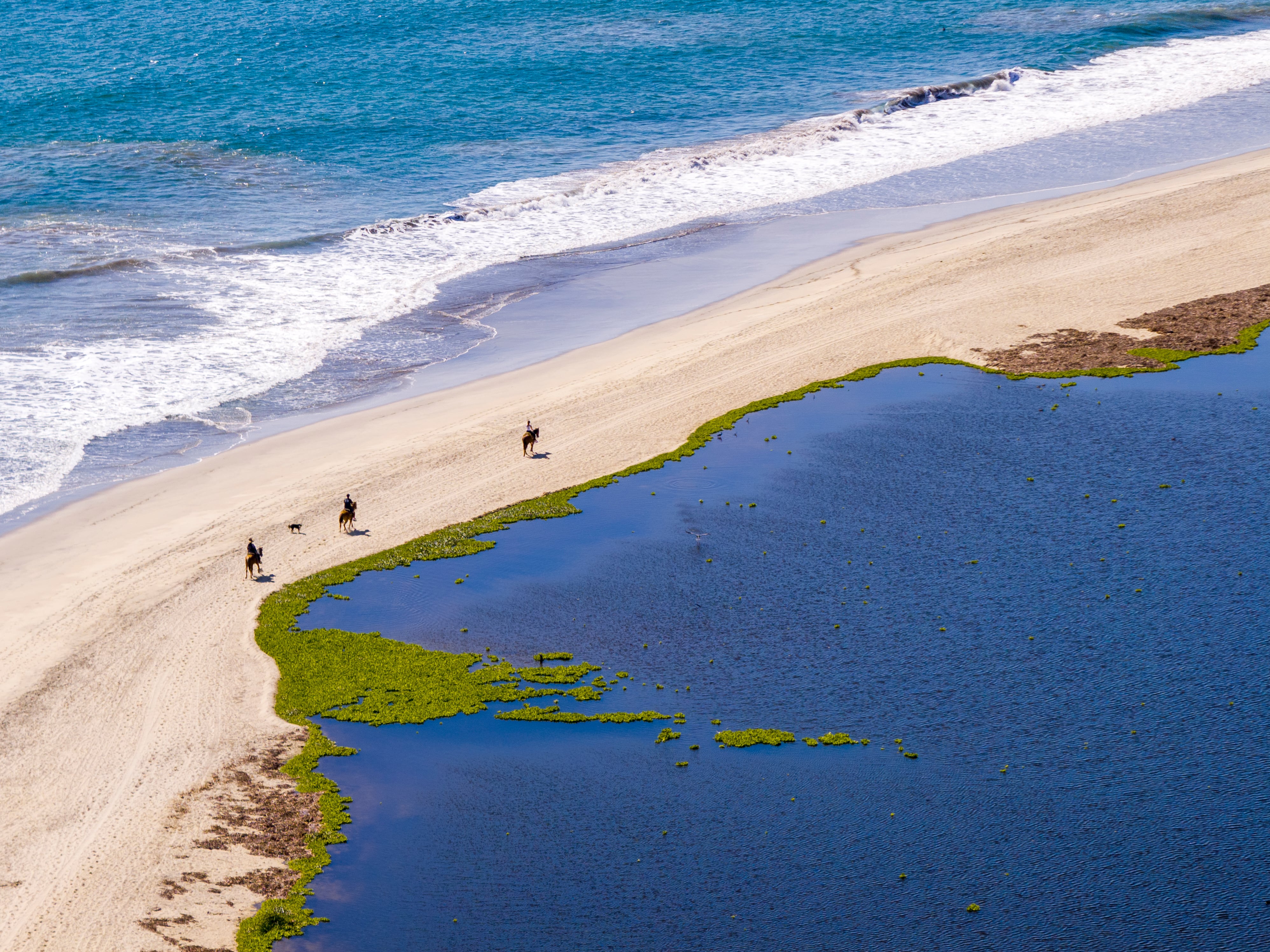 Los Cabos reúne desierto, mar y montaña y uno puede realizar muchísimas actividades, entre ello, algunas cabalgatas por la playa