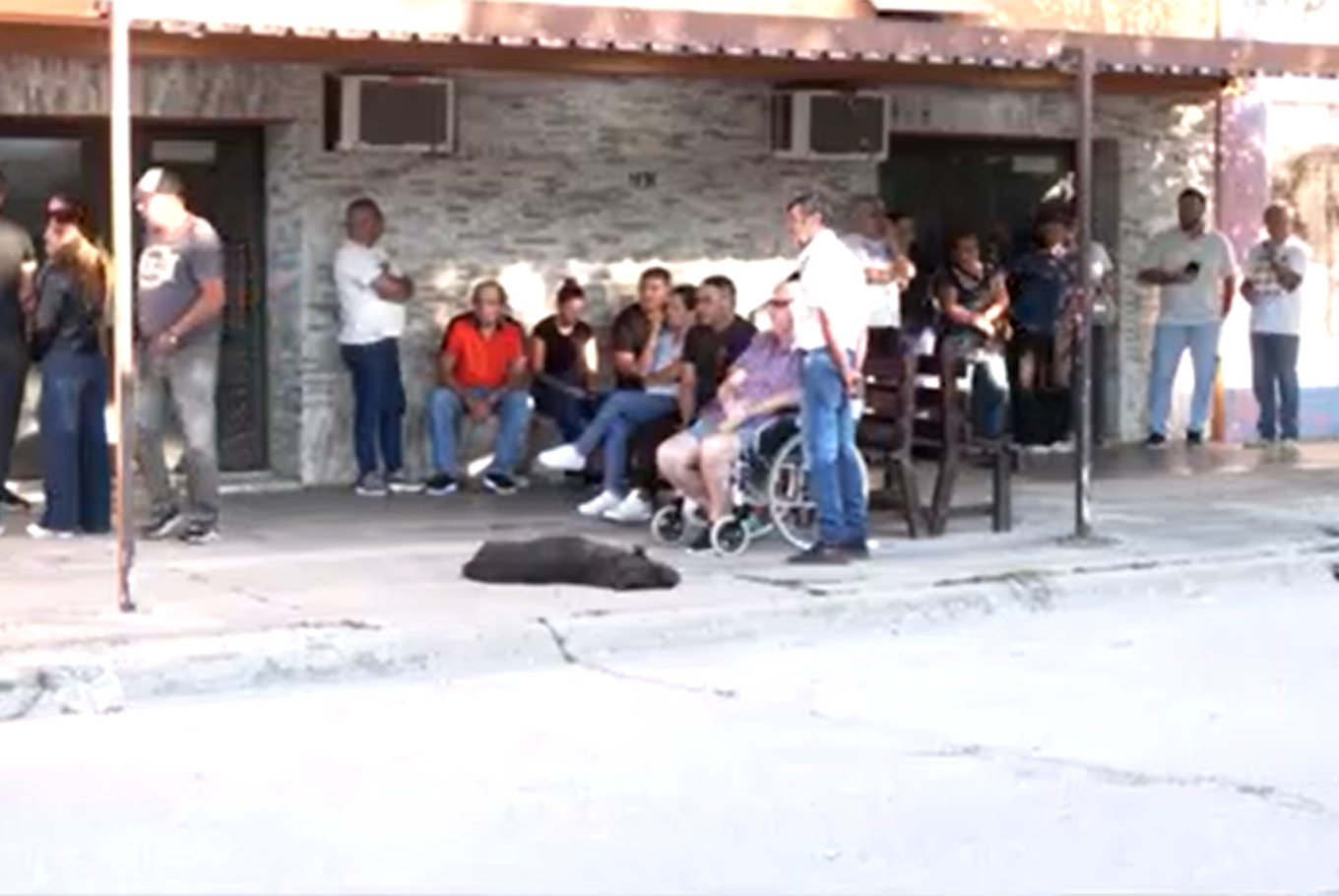 Qué se sabe del caso del alumno que mató a un compañero en un colegio en Santa Fe