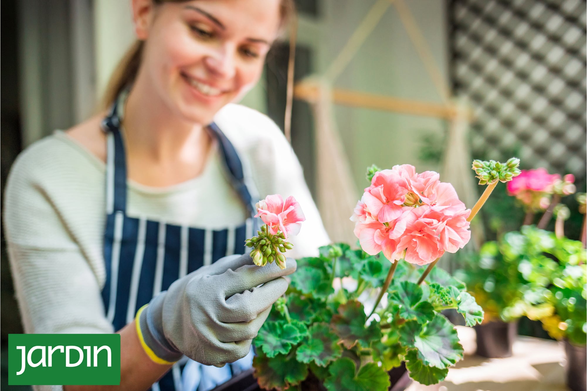 Plantar también es recordar: especies que conectan generaciones y tejen lazos familiares