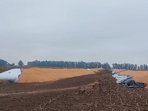 “Quisieron hacer mucho daño”: atacaron un campo y rompieron 12 silobolsas con más de 2000 toneladas de granos