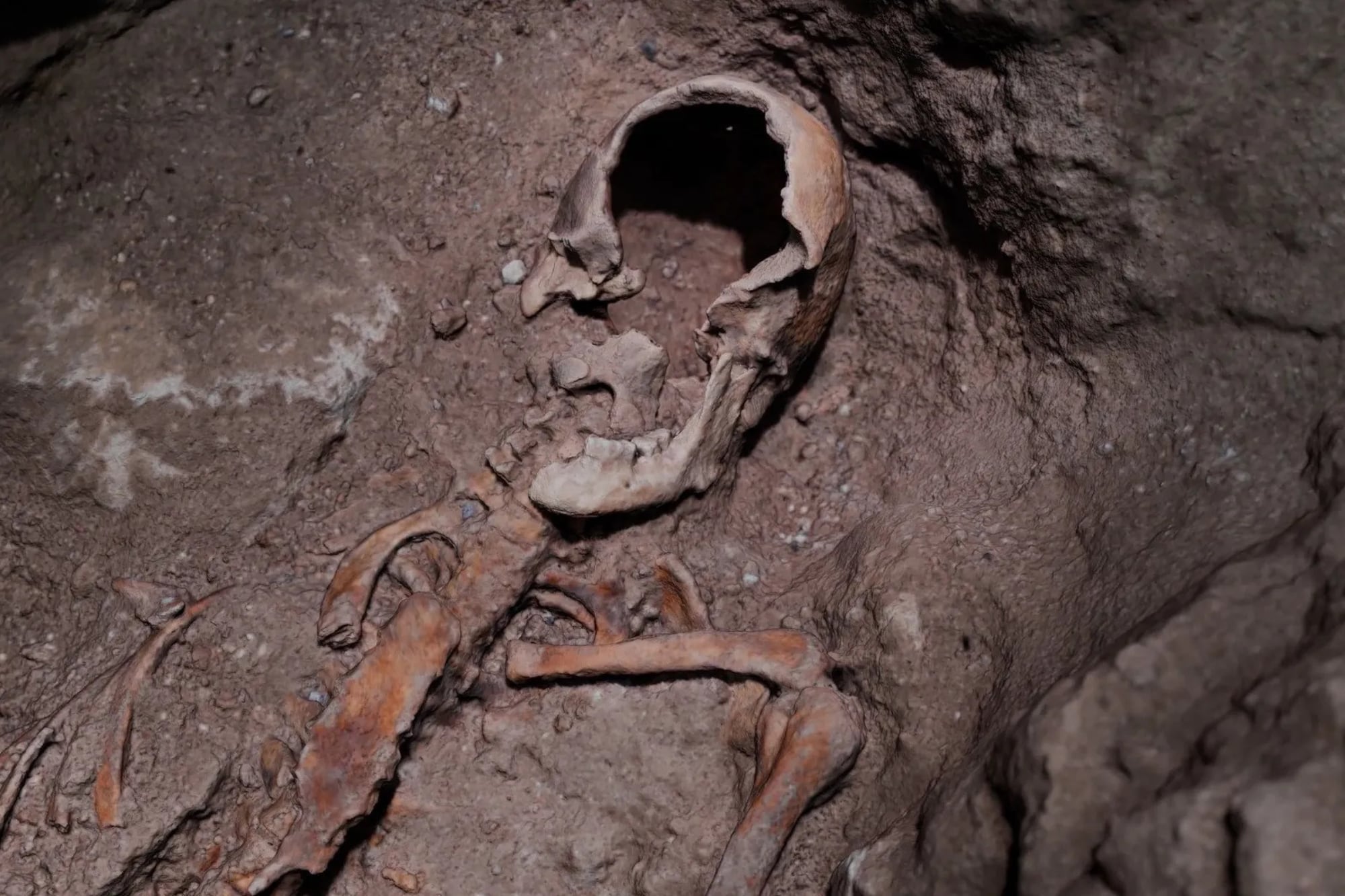 Después de 350 años: brotó de la tierra la aparente tumba de D’Artagnan y los historiadores se ilusionan