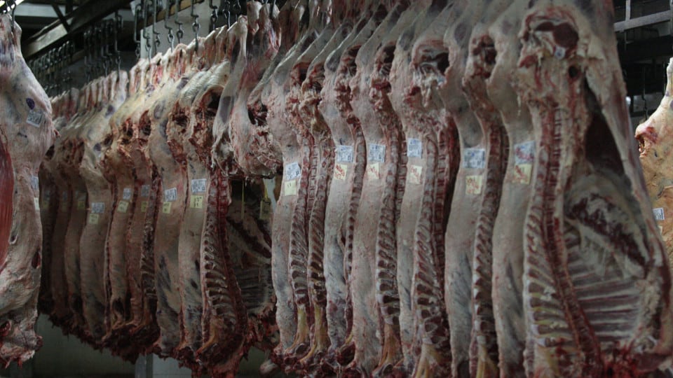 La ampliación de la cuota de exportación a 100.000 toneladas fortaleció la presencia de la carne argentina en Estados Unidos, un mercado que hoy representa cerca de una cuarta parte de las ventas externas del sector