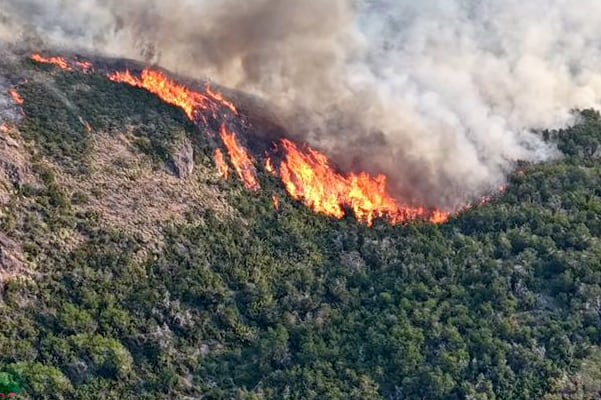 El fuego no para de propagarse en la Patagonia