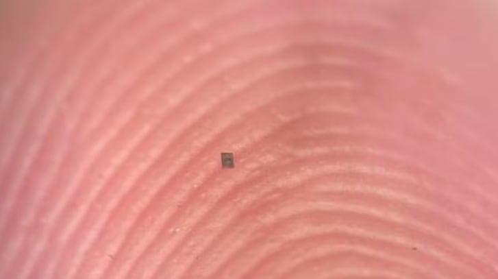 Más pequeño que un grano de sal: crean el robot autónomo más pequeño del mundo