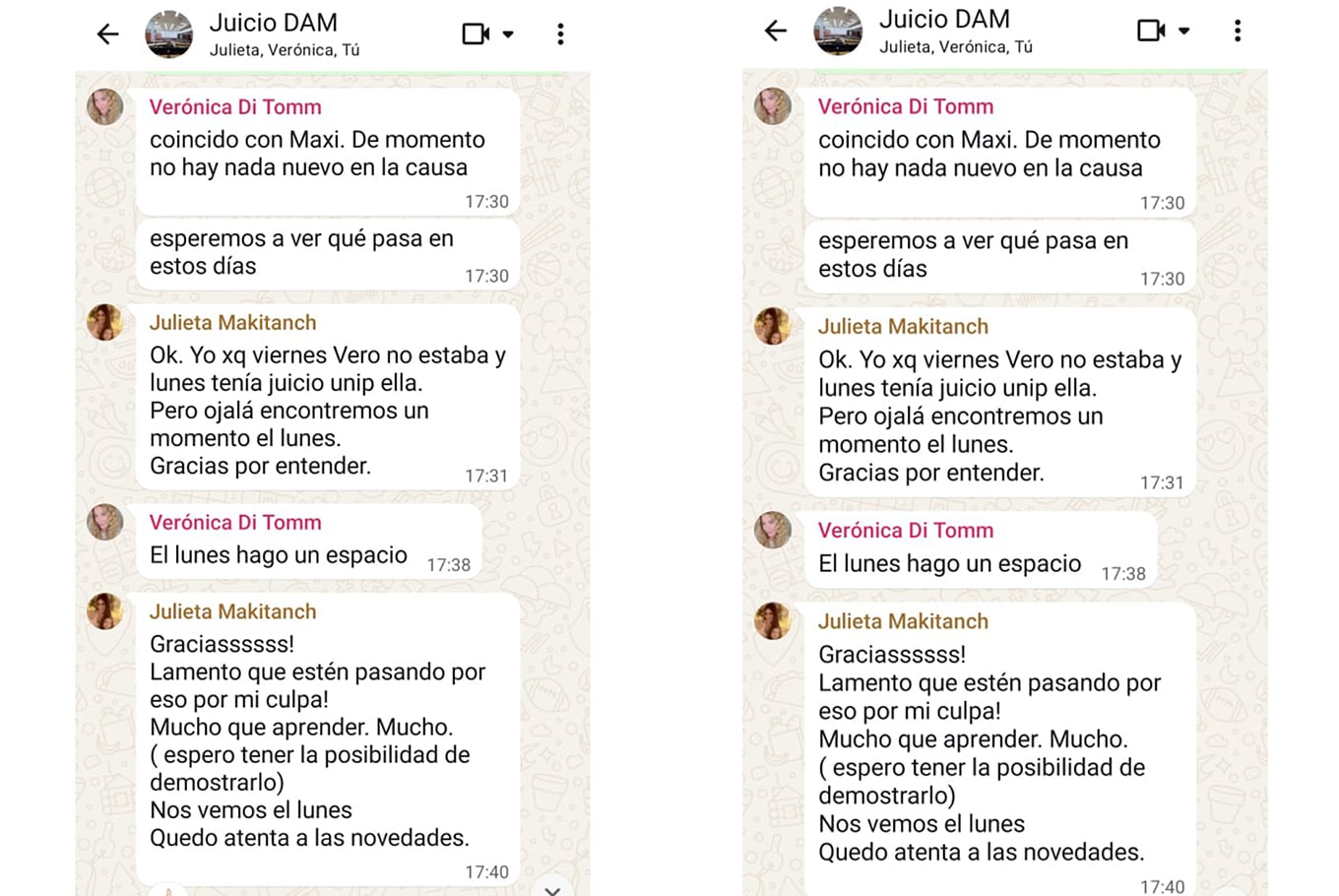 Chats explosivos: la jueza Makintach le rogó a sus colegas para salvar el juicio por la muerte de Maradona