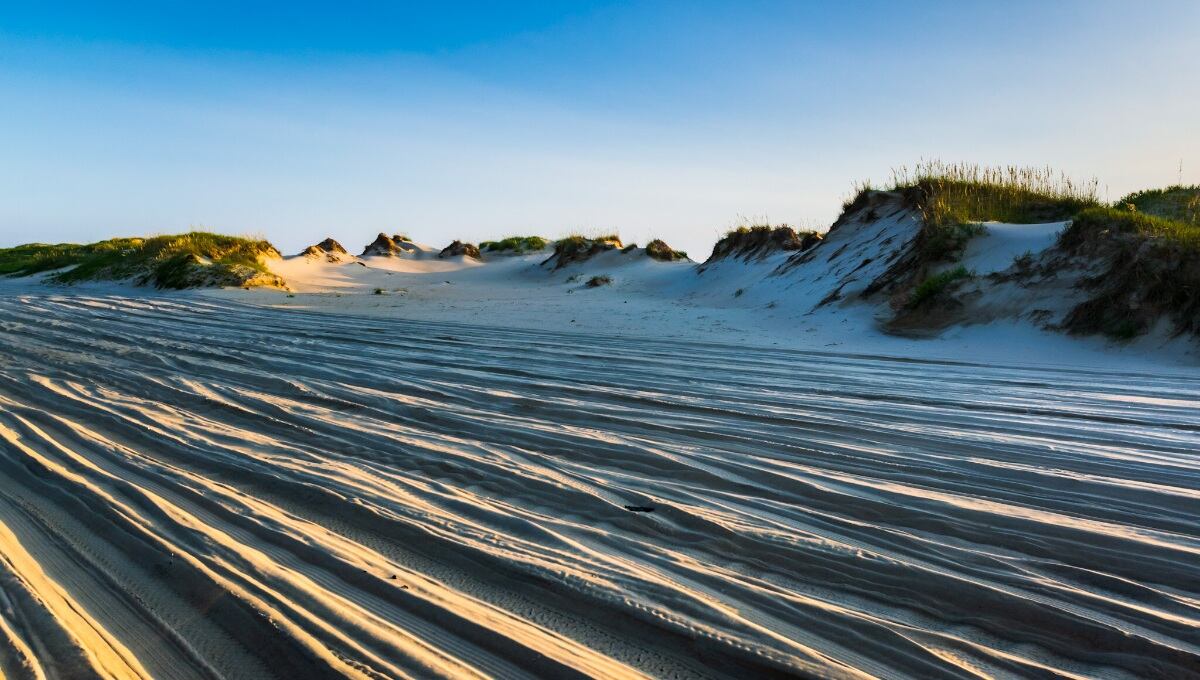 La playa de Carova se ubicó en el lugar 14 de las mejores playas secretas de Estados Unidos Foto: Pixabay