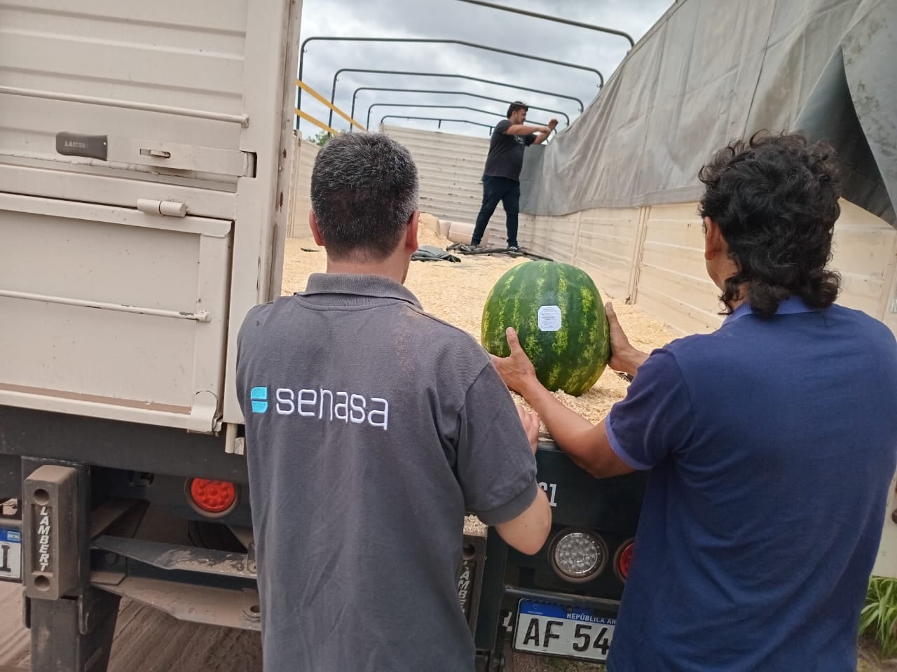 La inspección del Senasa del primer cargamento a Montevideo