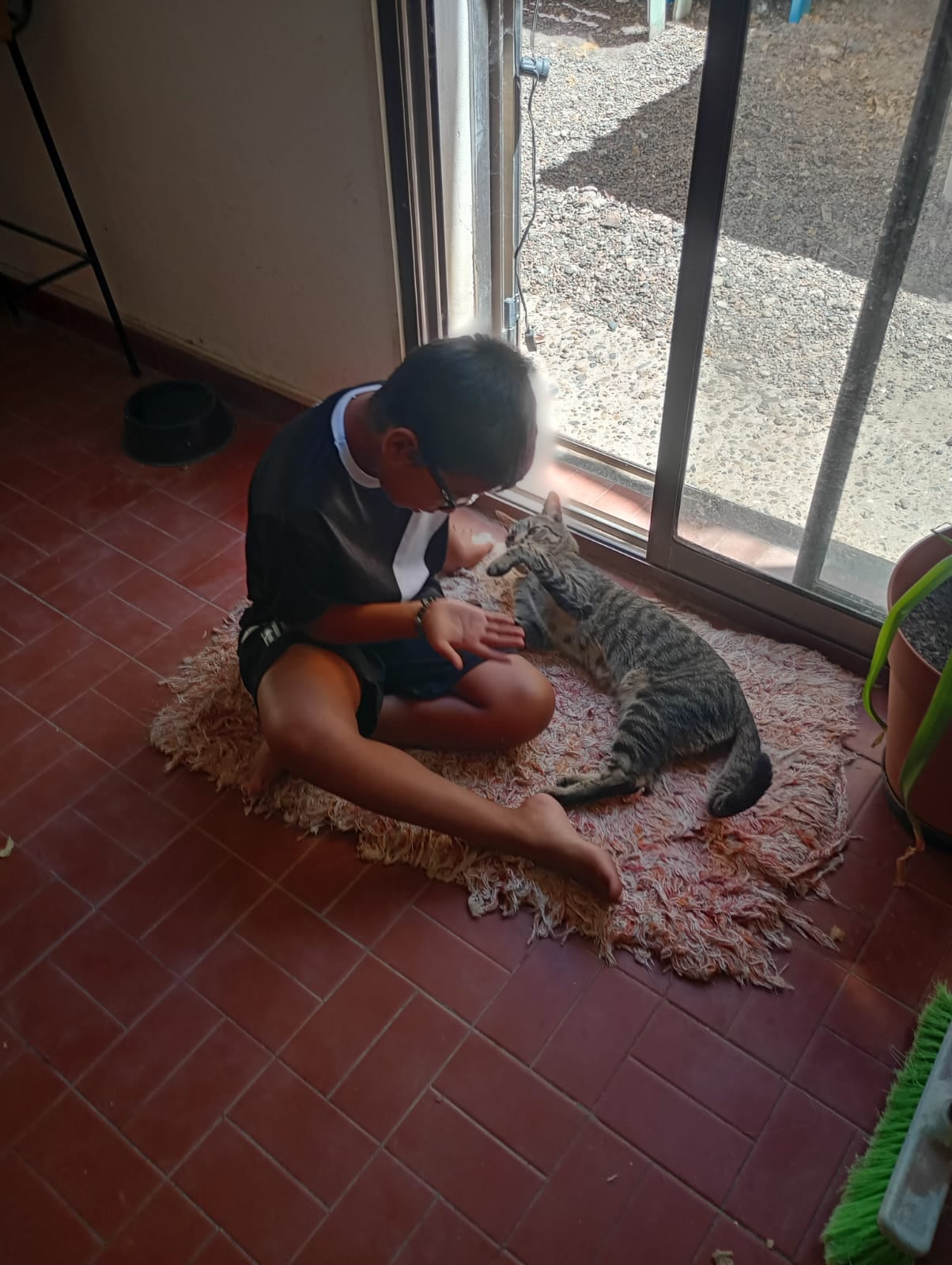 A T le gustó que Severino tuviera un gato y una perra