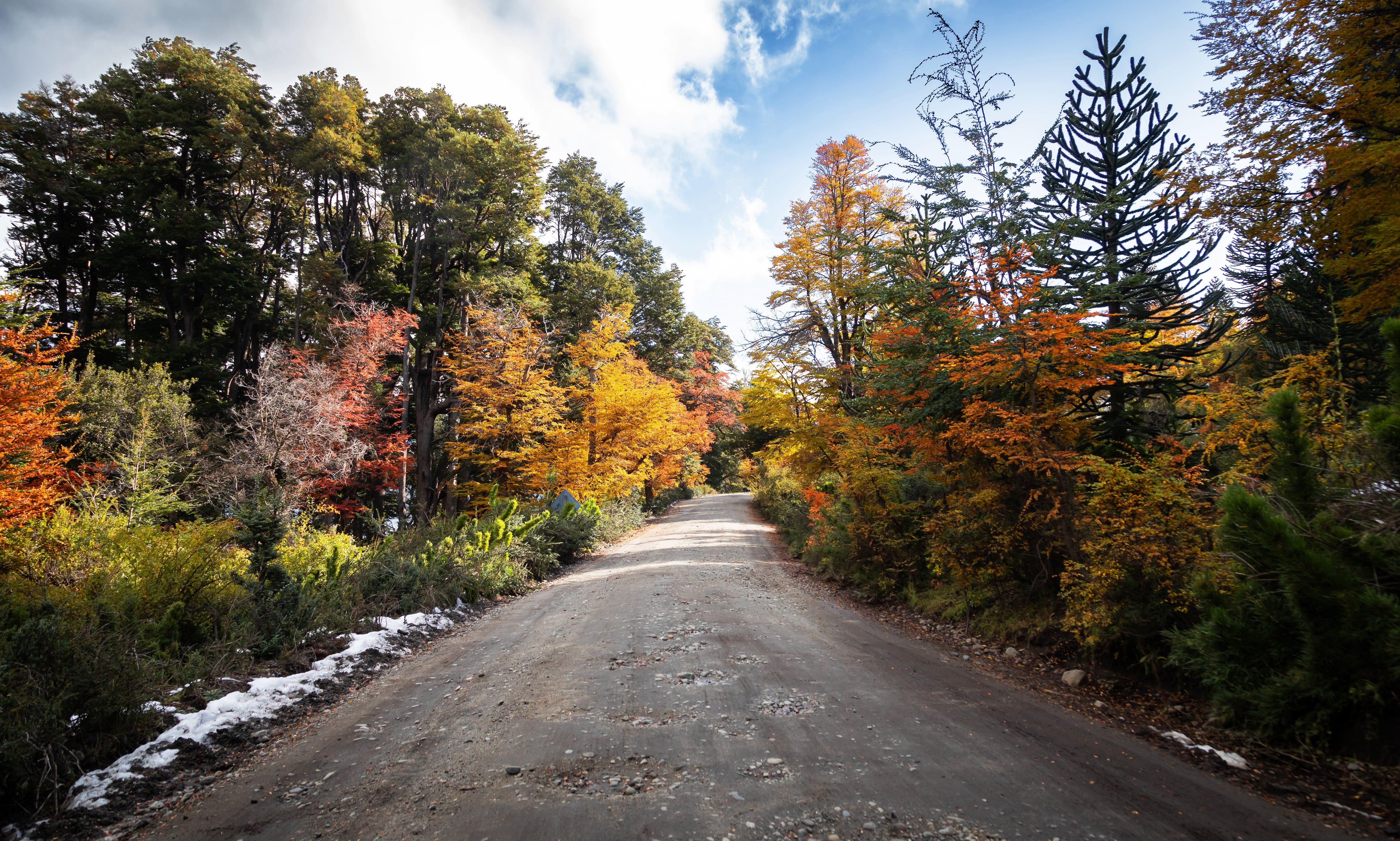 Camino al Lago Tromen en otoño