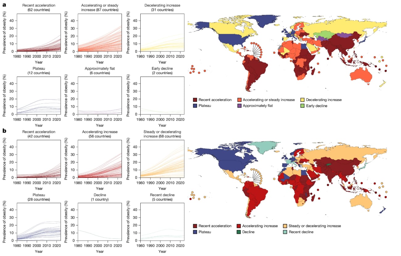 Tres velocidades: los distintos patrones de evolución de la obesidad según país en las últimas décadas