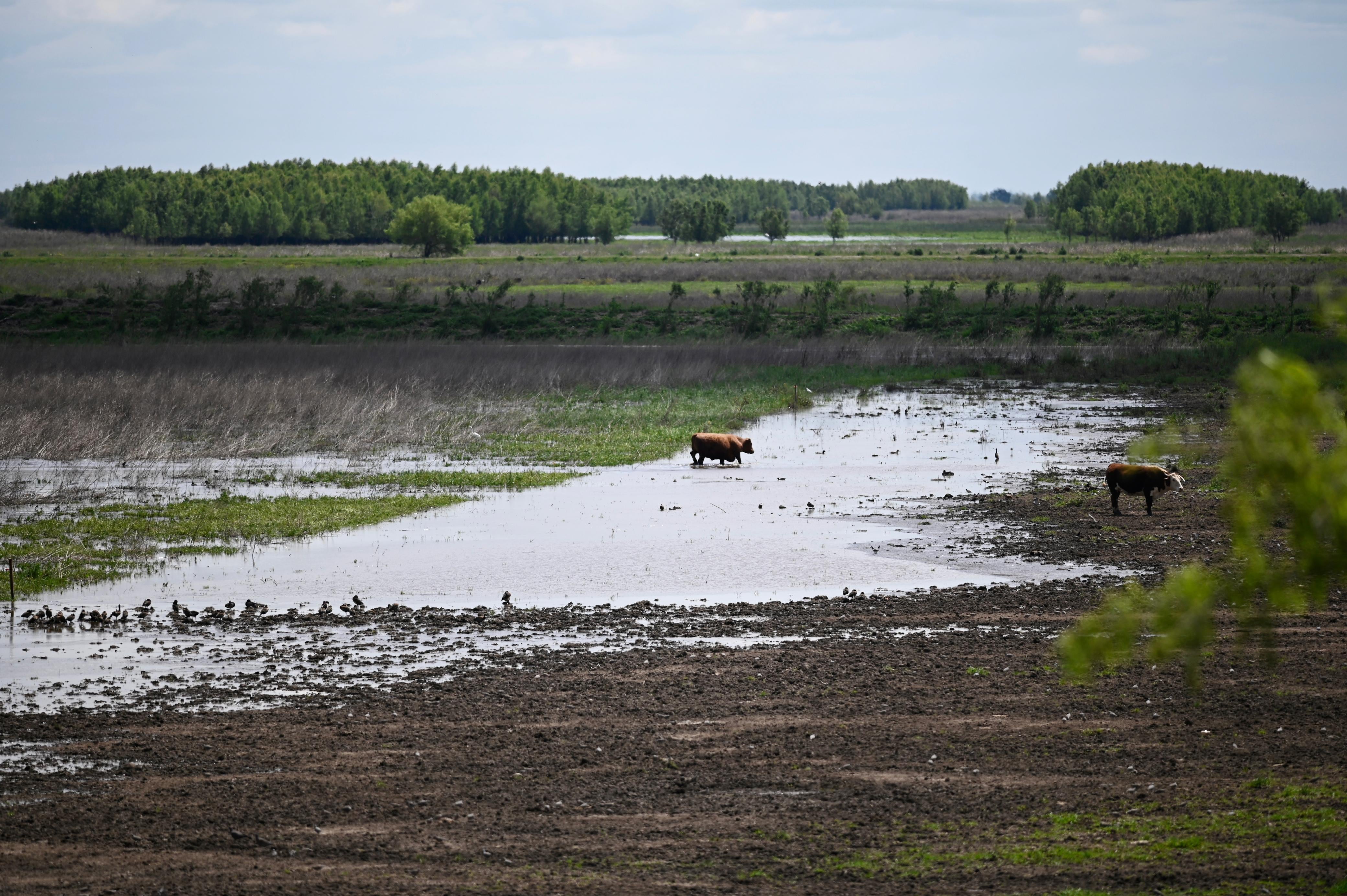 “El Niño es un proceso que se desarrolla como una película, no como una foto y tiene un ciclo de 12 meses que comienza en marzo-abril de cada año